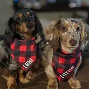 Meet your Posher, Leah